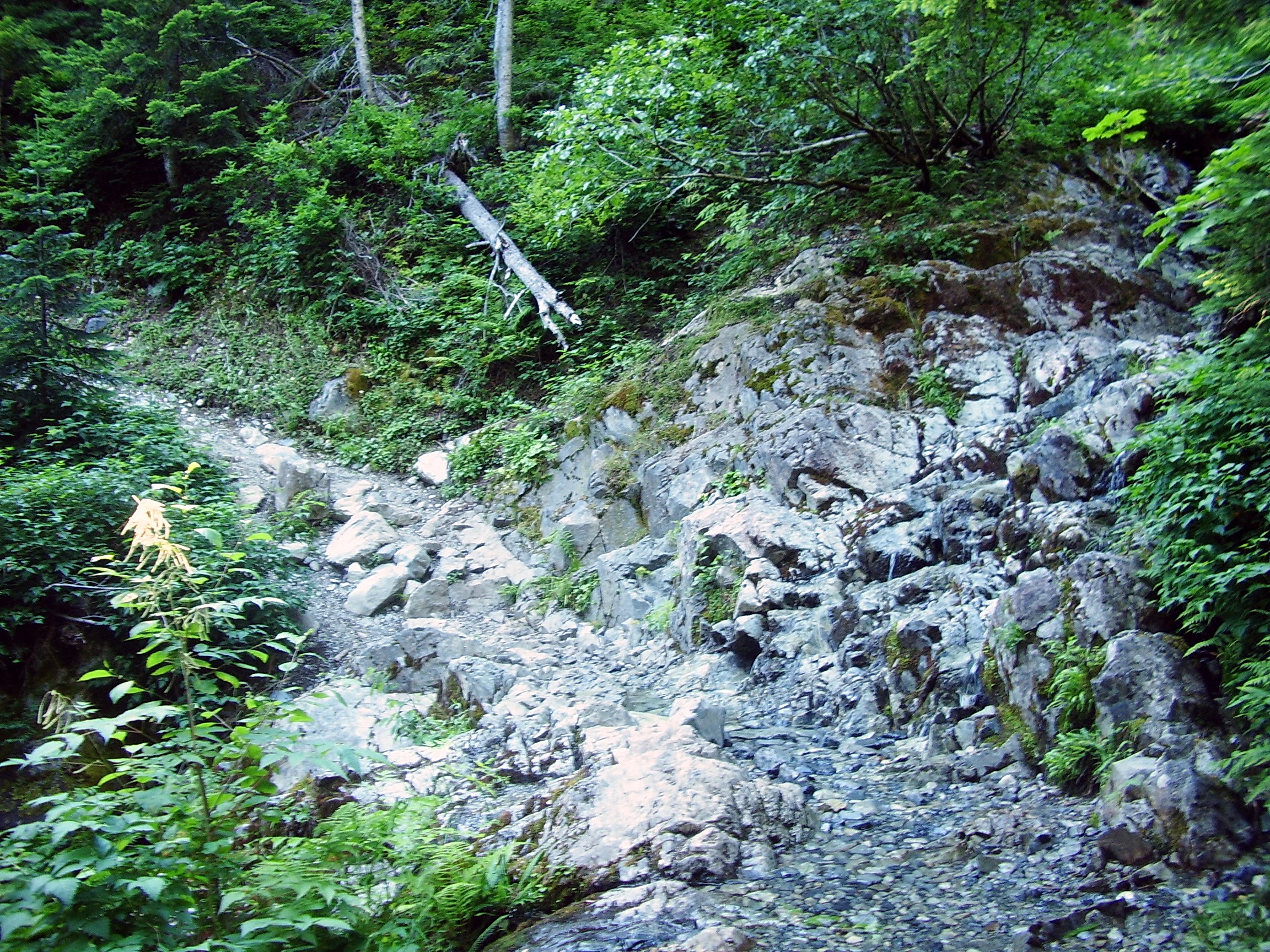 Snow Lake trail July