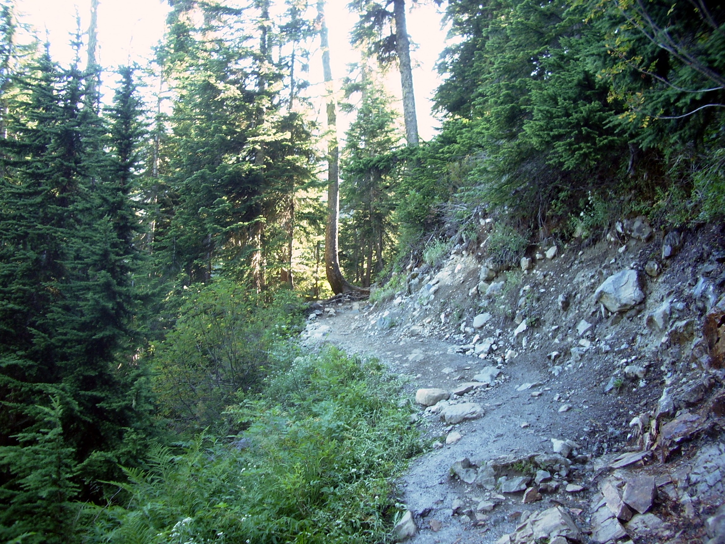 Snow Lake trail July
