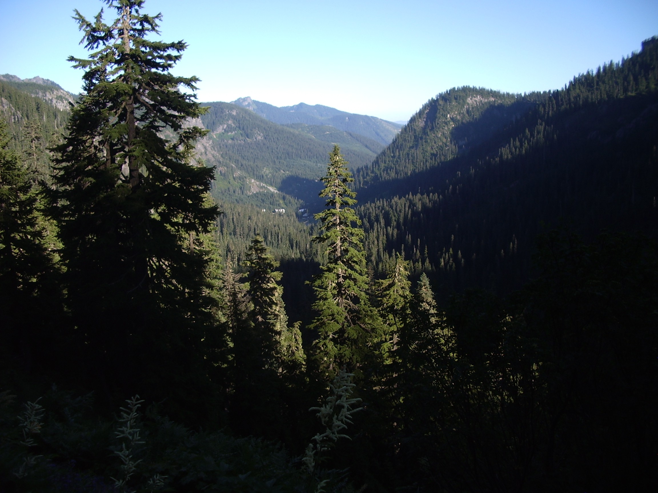 Snow Lake trail July