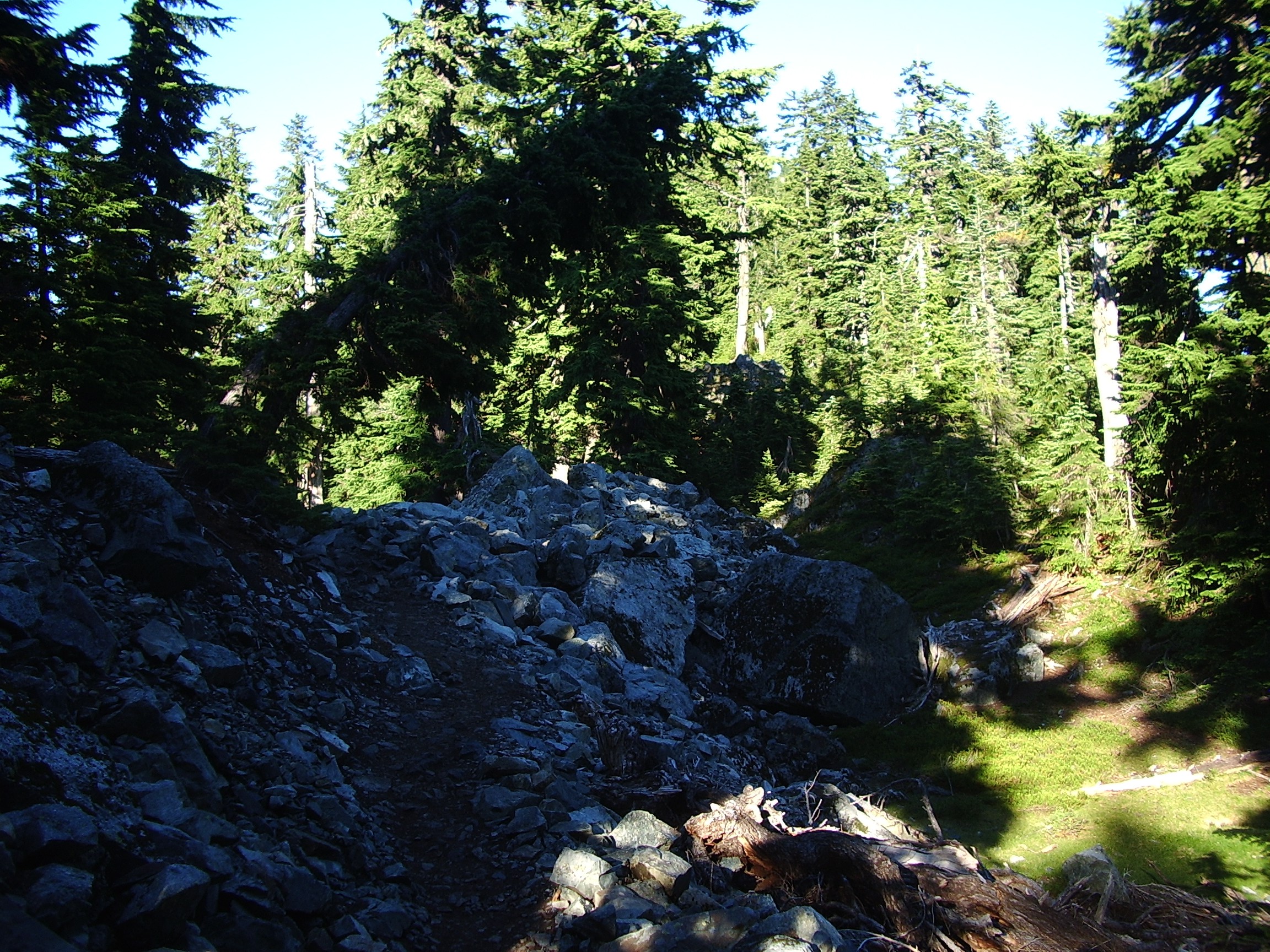 Snow Lake trail July
