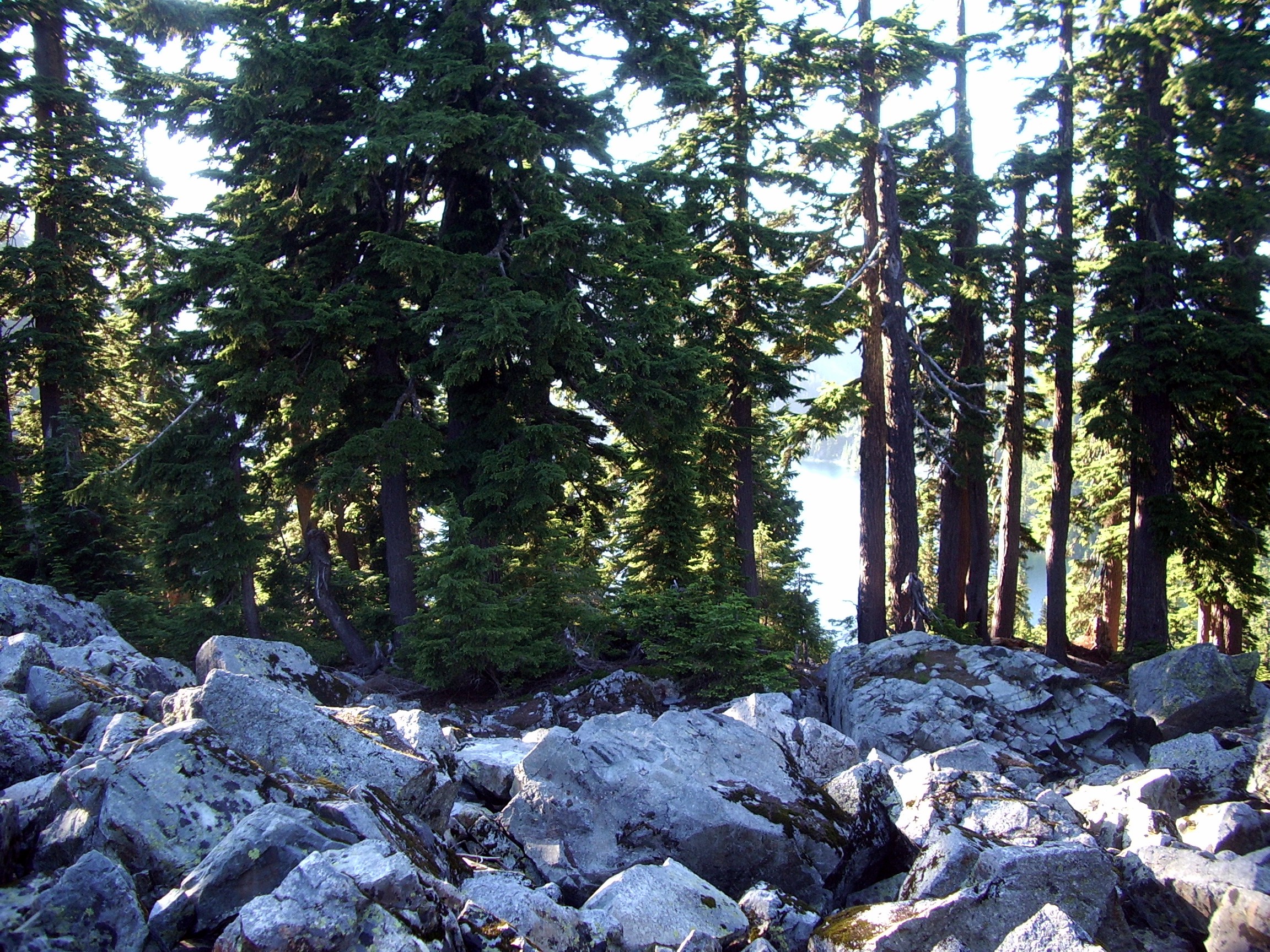 Snow Lake trail July