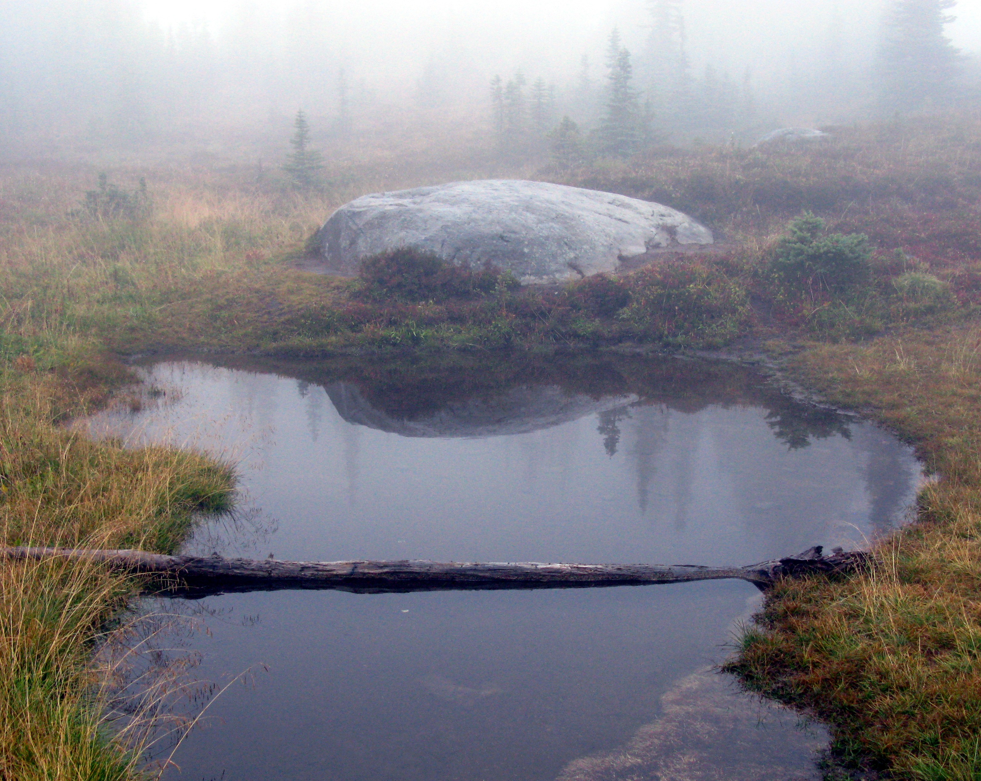 Spray Park pond and rock