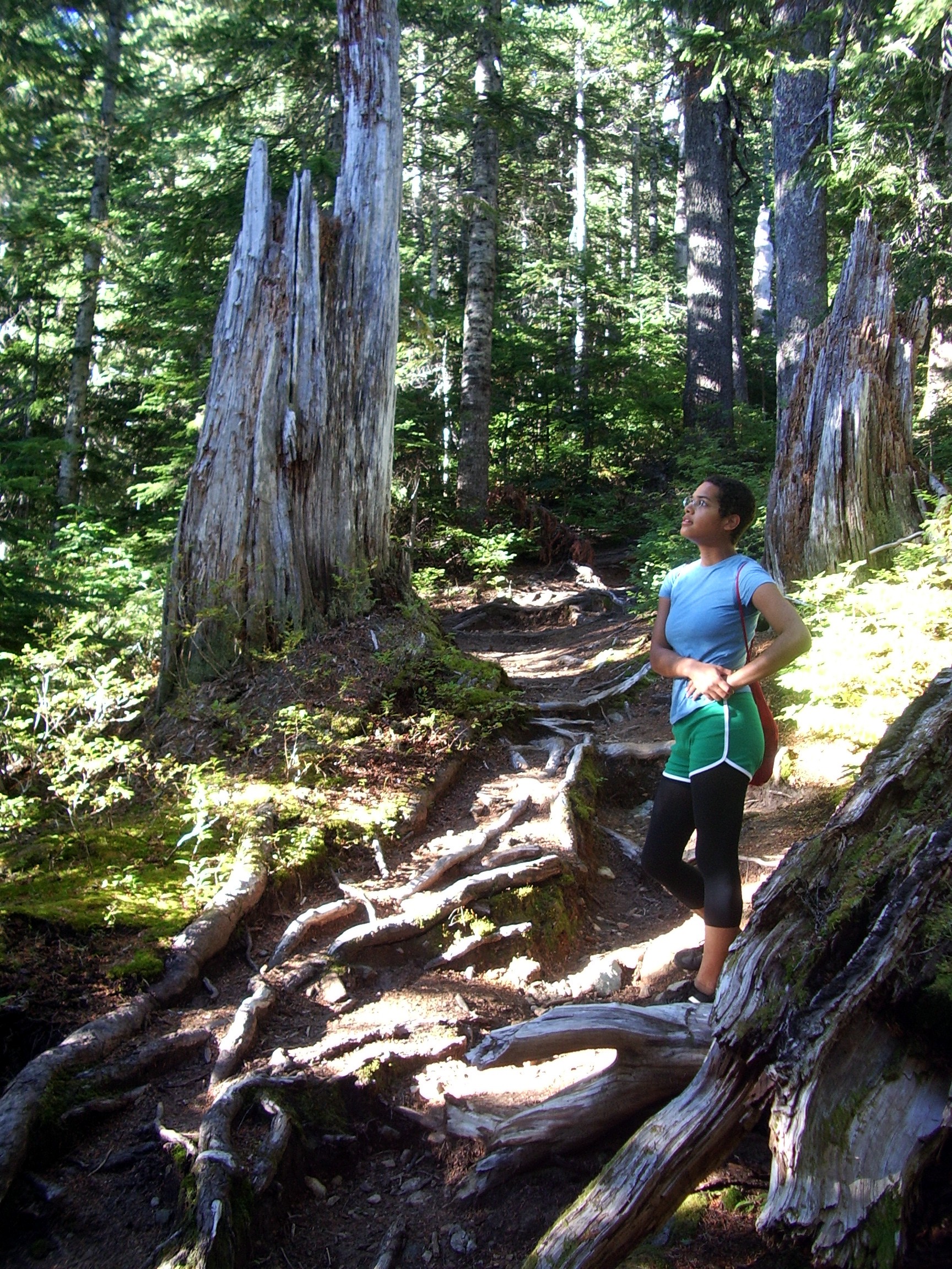 Summer on Blanca Lake trail