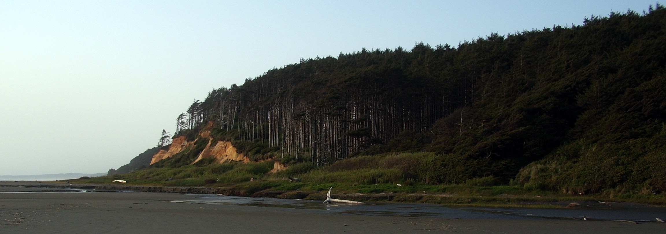 Washington beach
