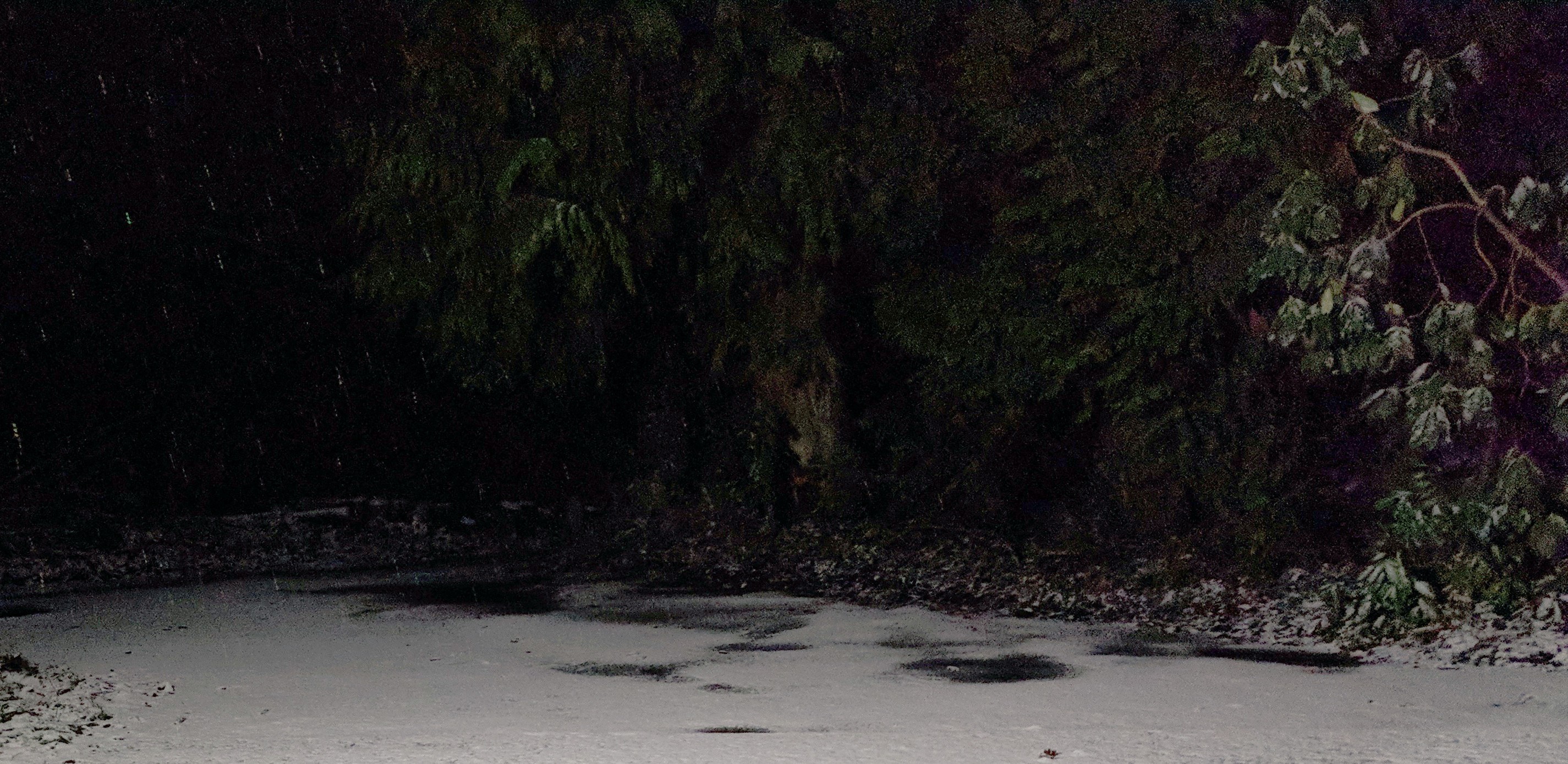 Whats around the bend