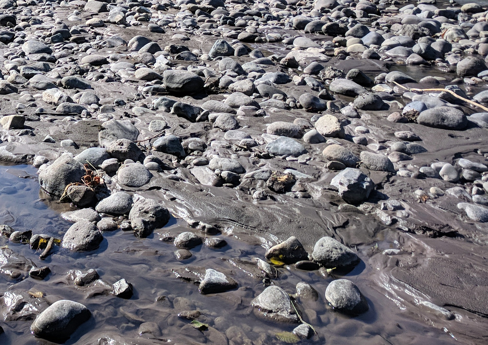 White River near Buckley