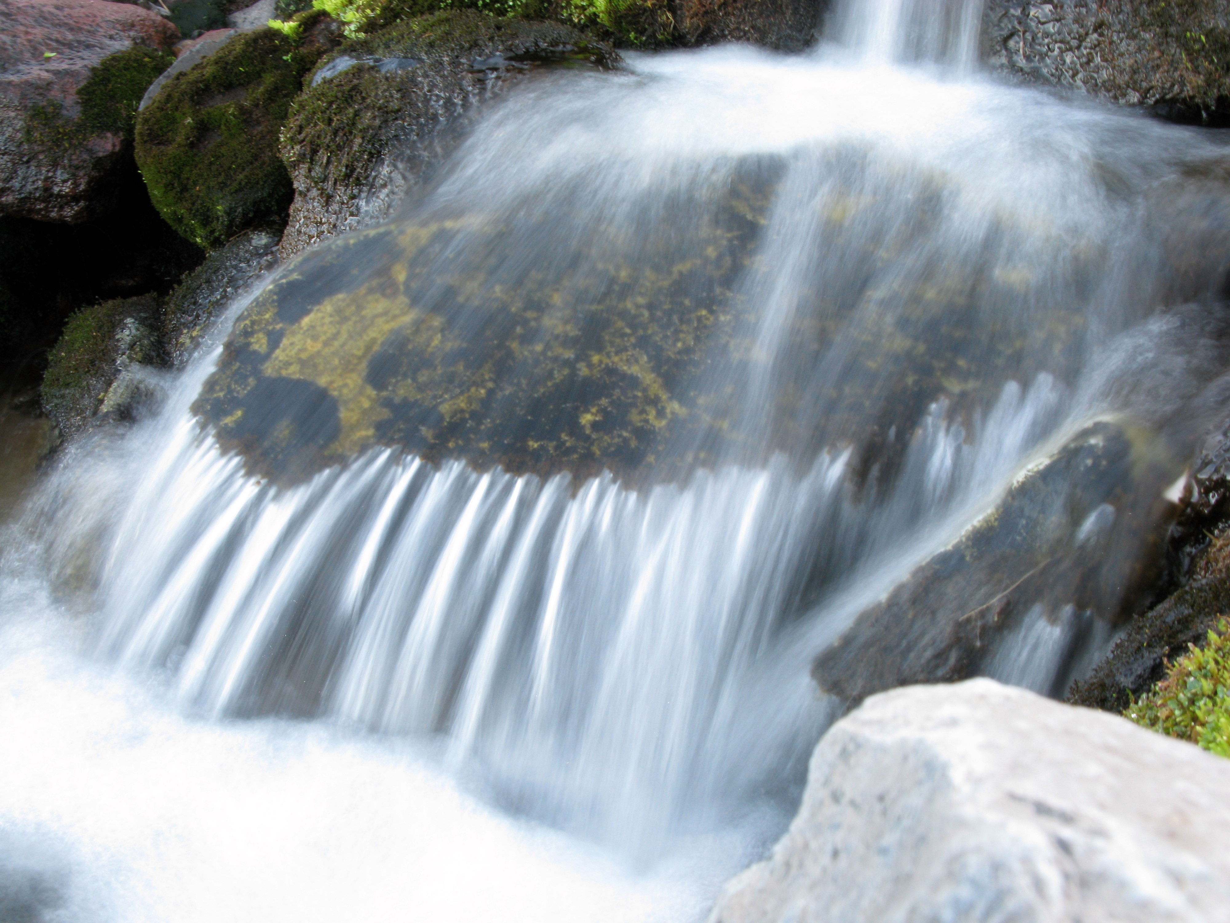 alpine White River up close