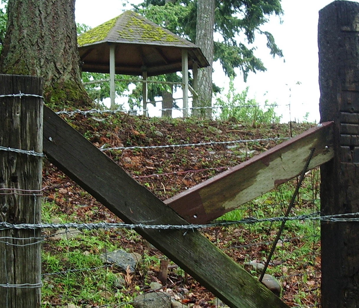barbed gazebo