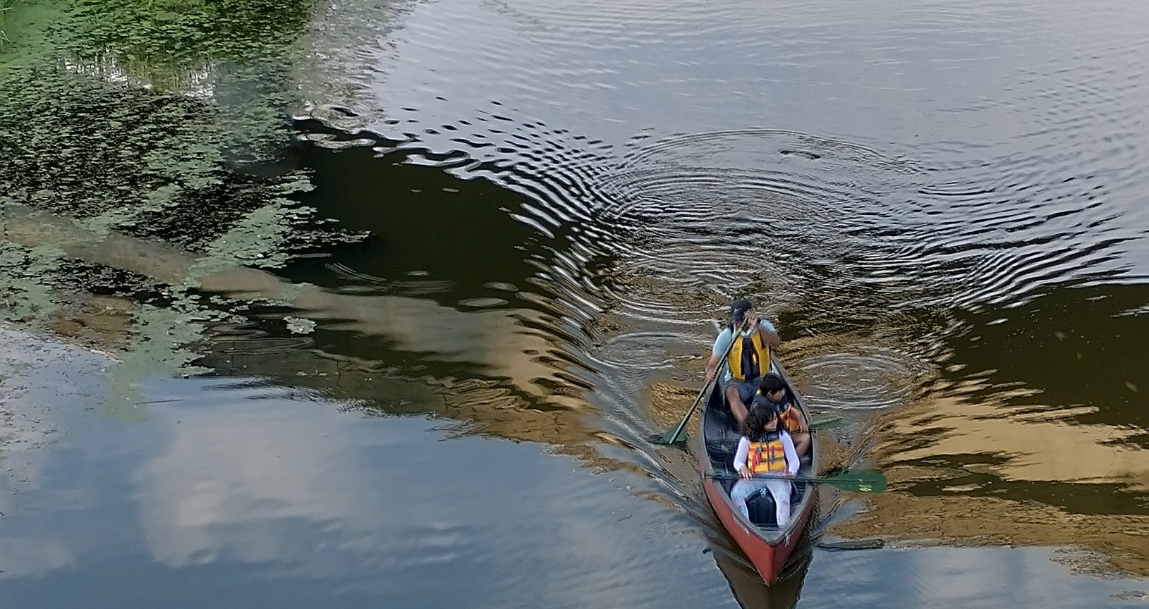 canoeing on Mercer Slough