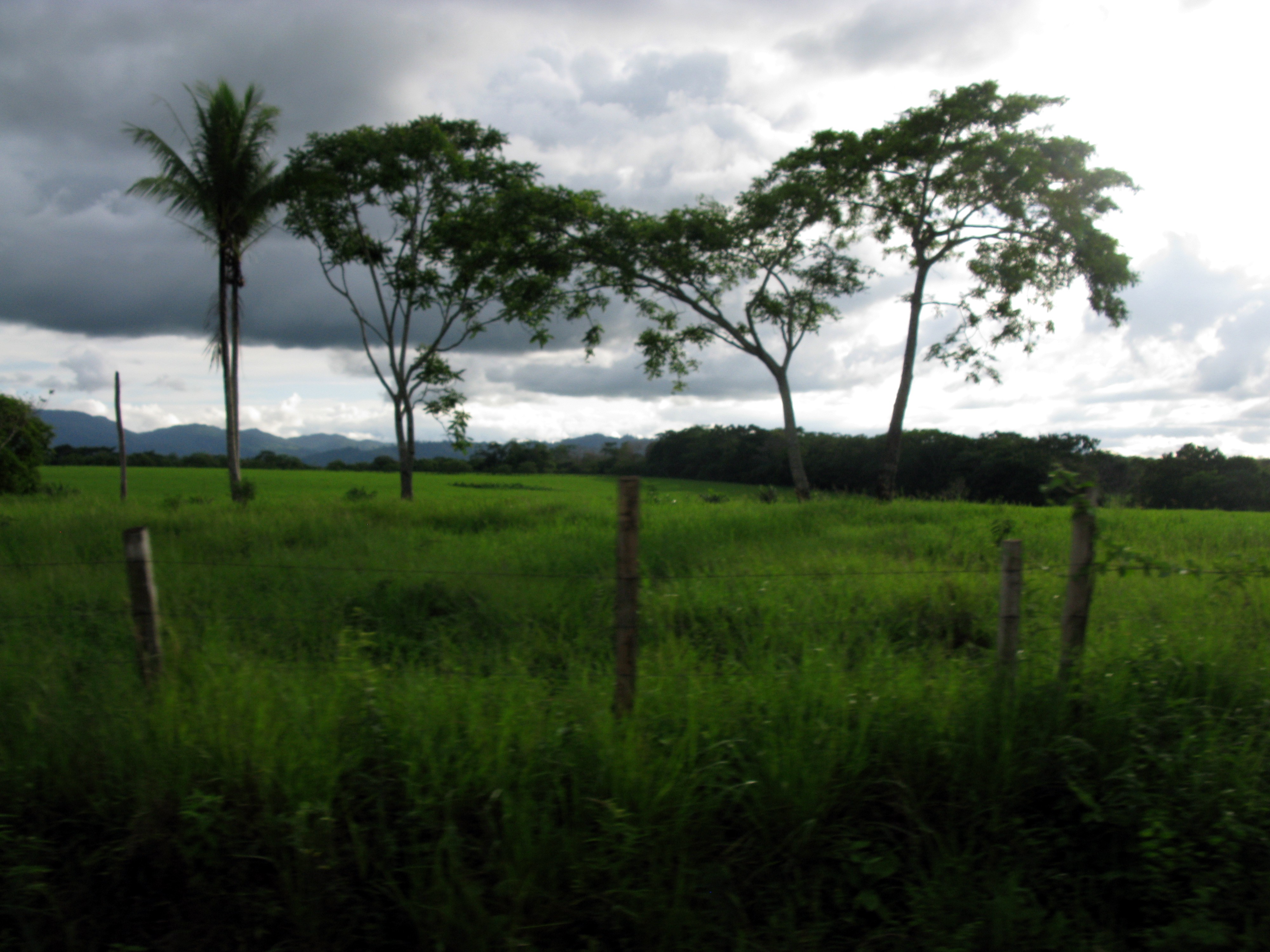 countryside on way to yaviza