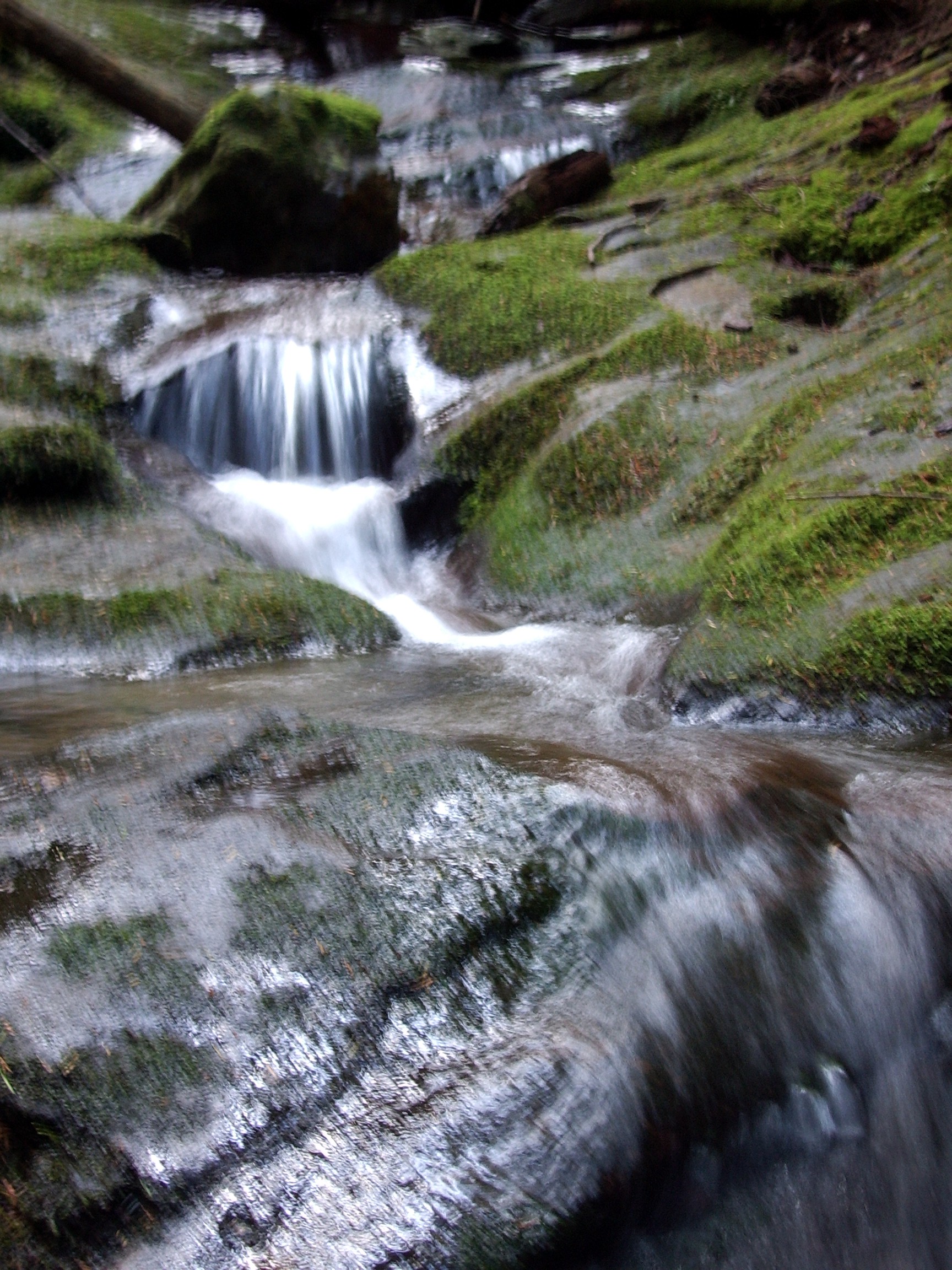 creek tiger mtn south