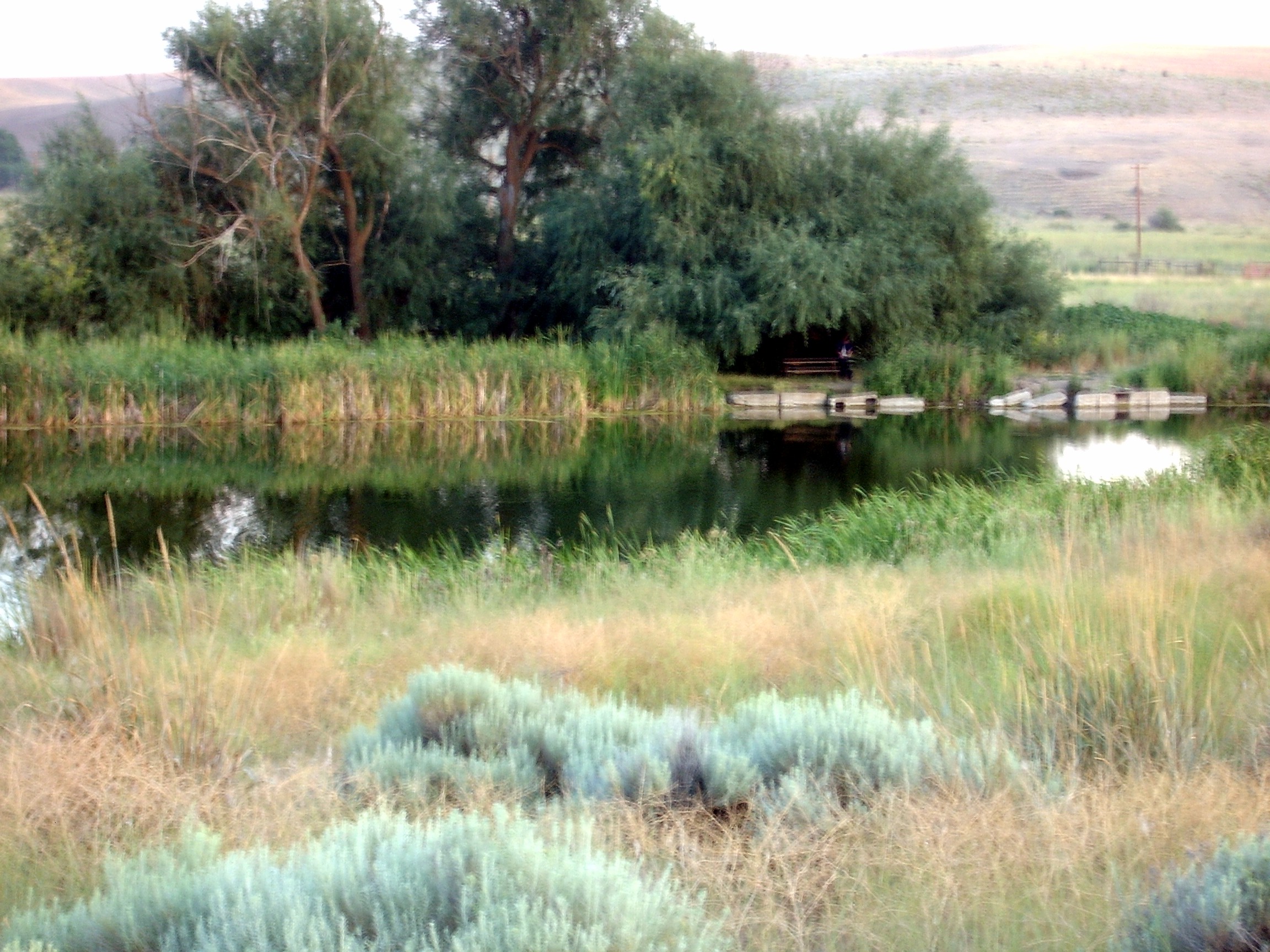 eastern washington lake