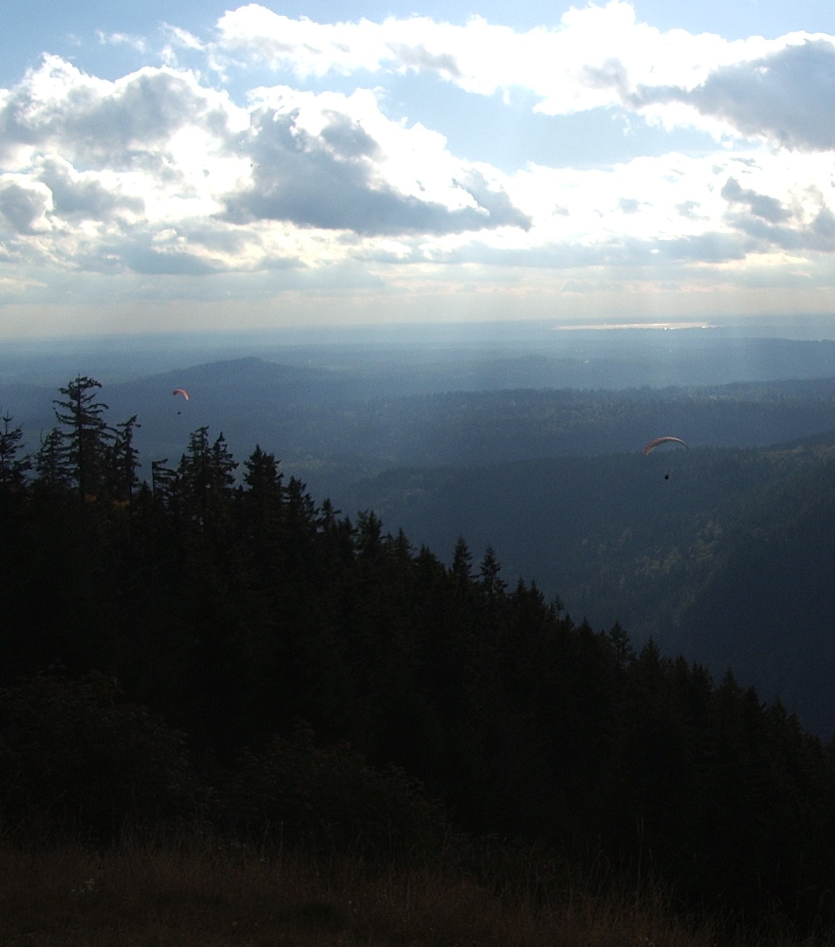 flyers from Poo Poo Point