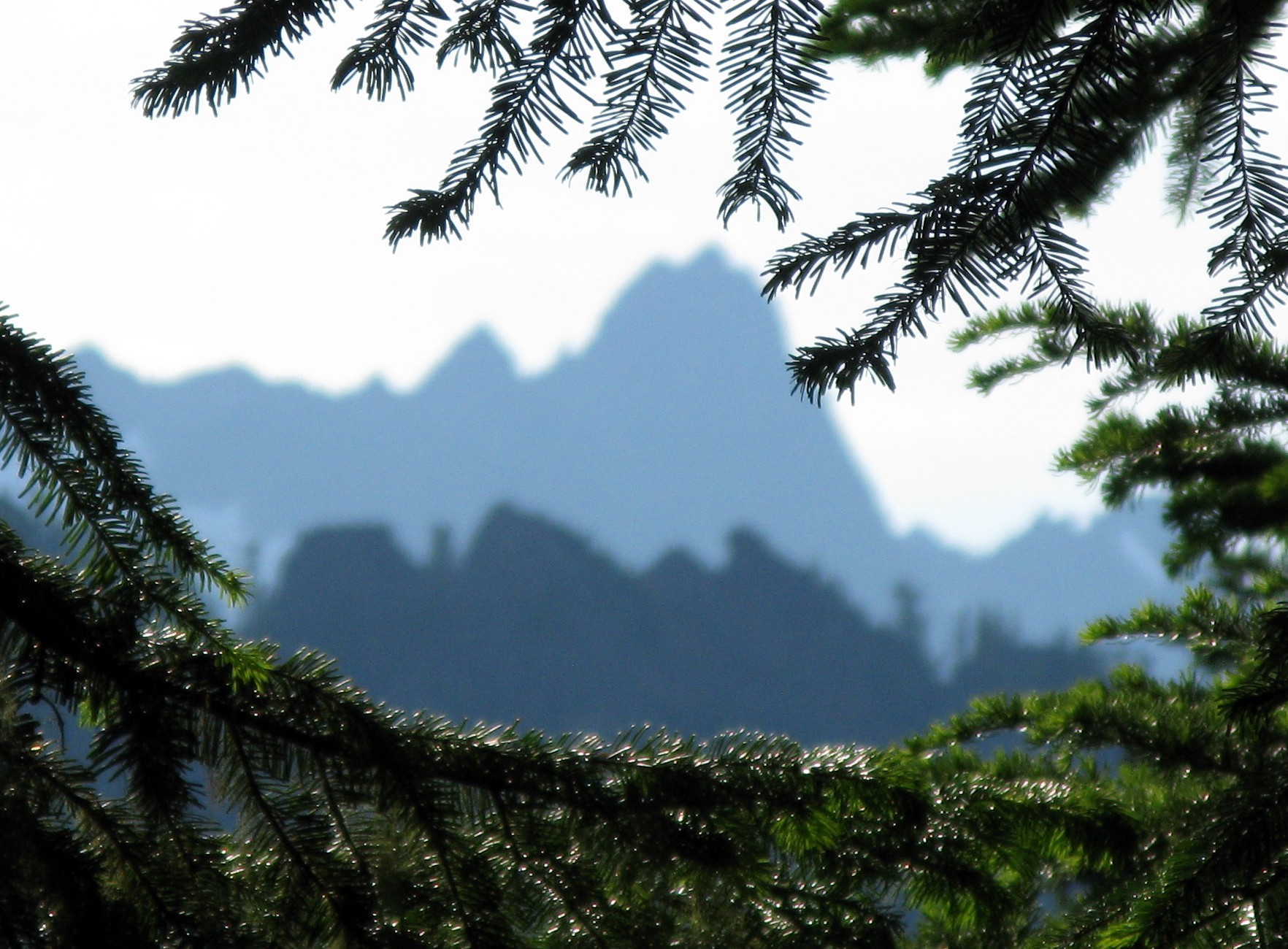 from Kendall Katwalk trail