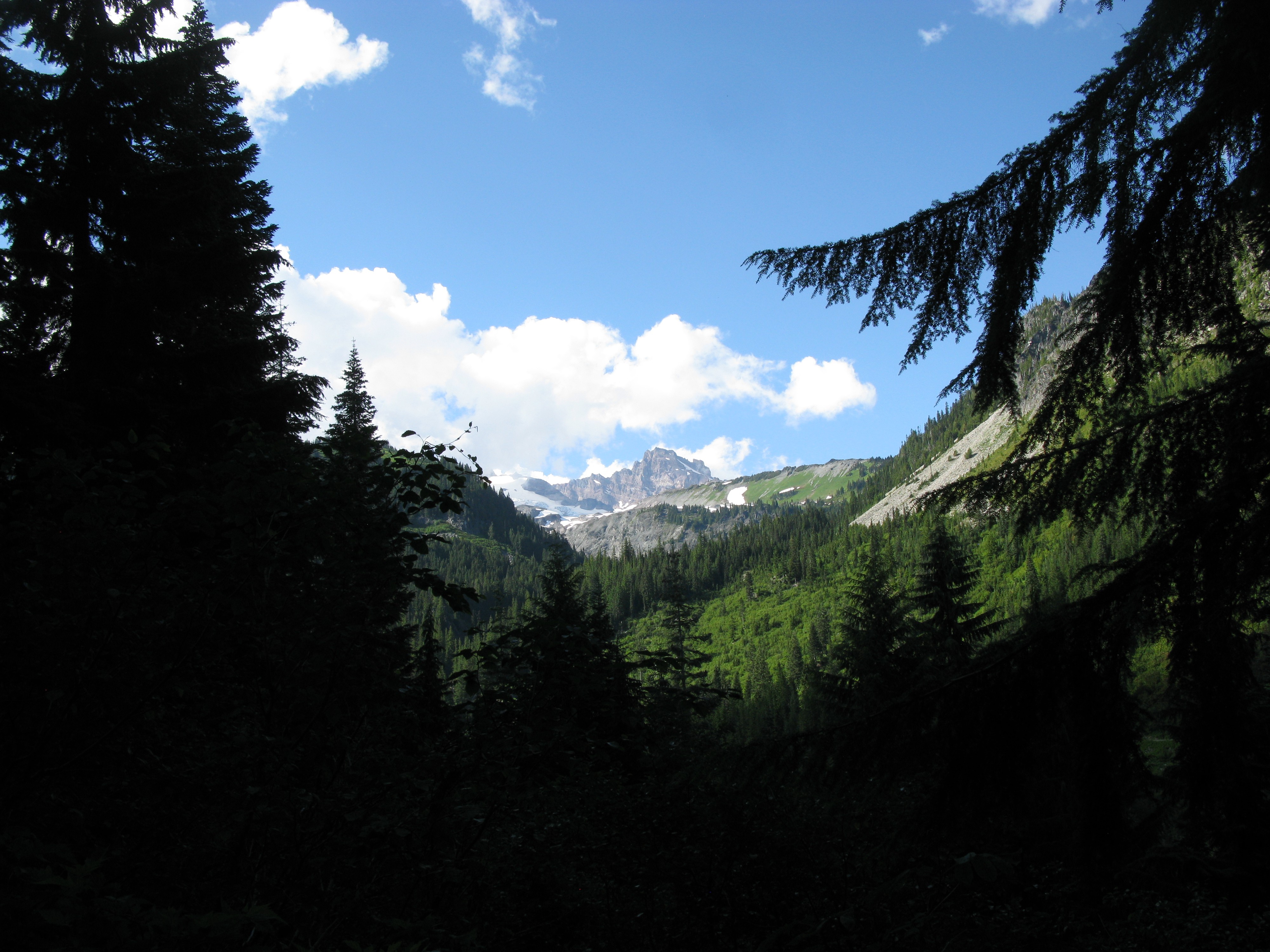 from the depths of Stevens Creek Canyon
