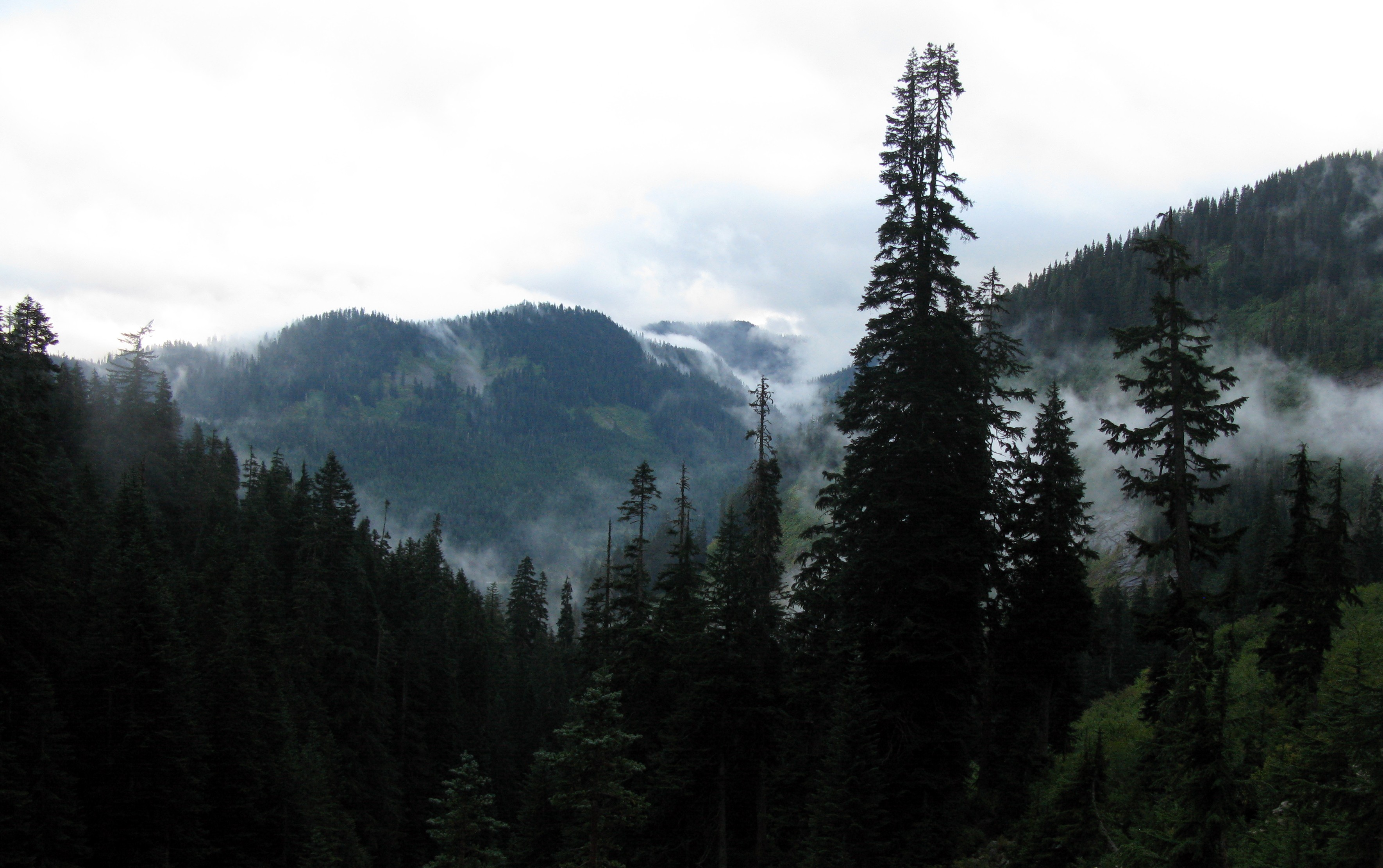 hills and clouds from Denny Creek trail