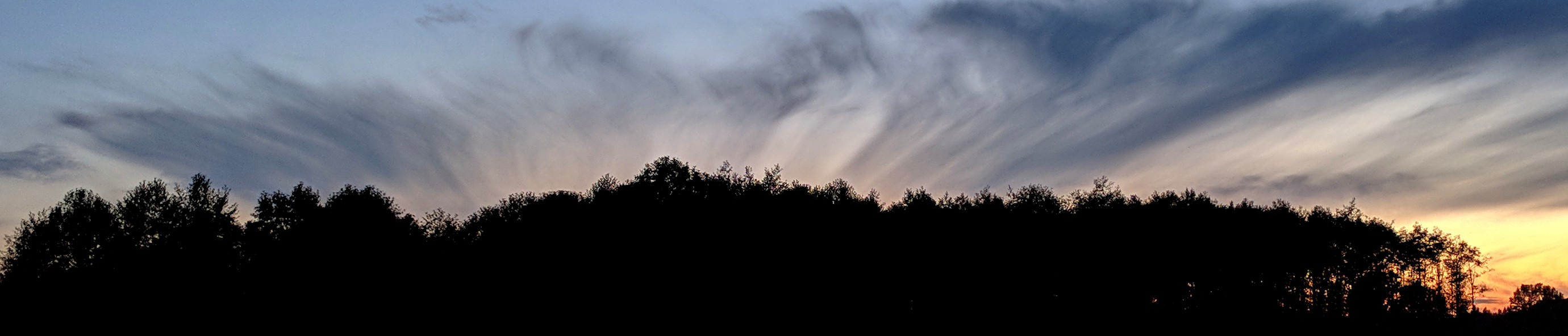 it comes from behind the trees