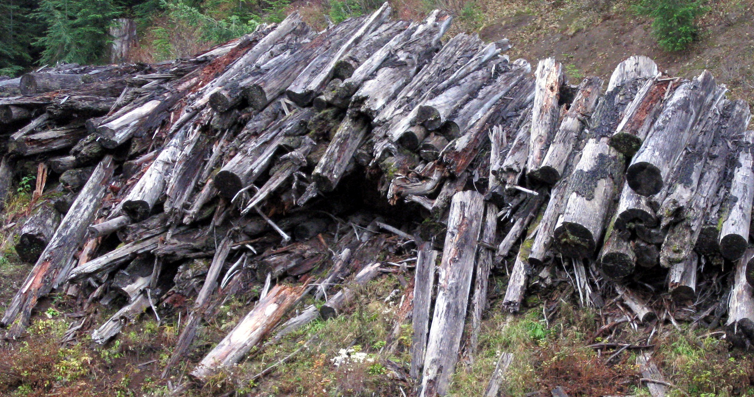 logged log stack