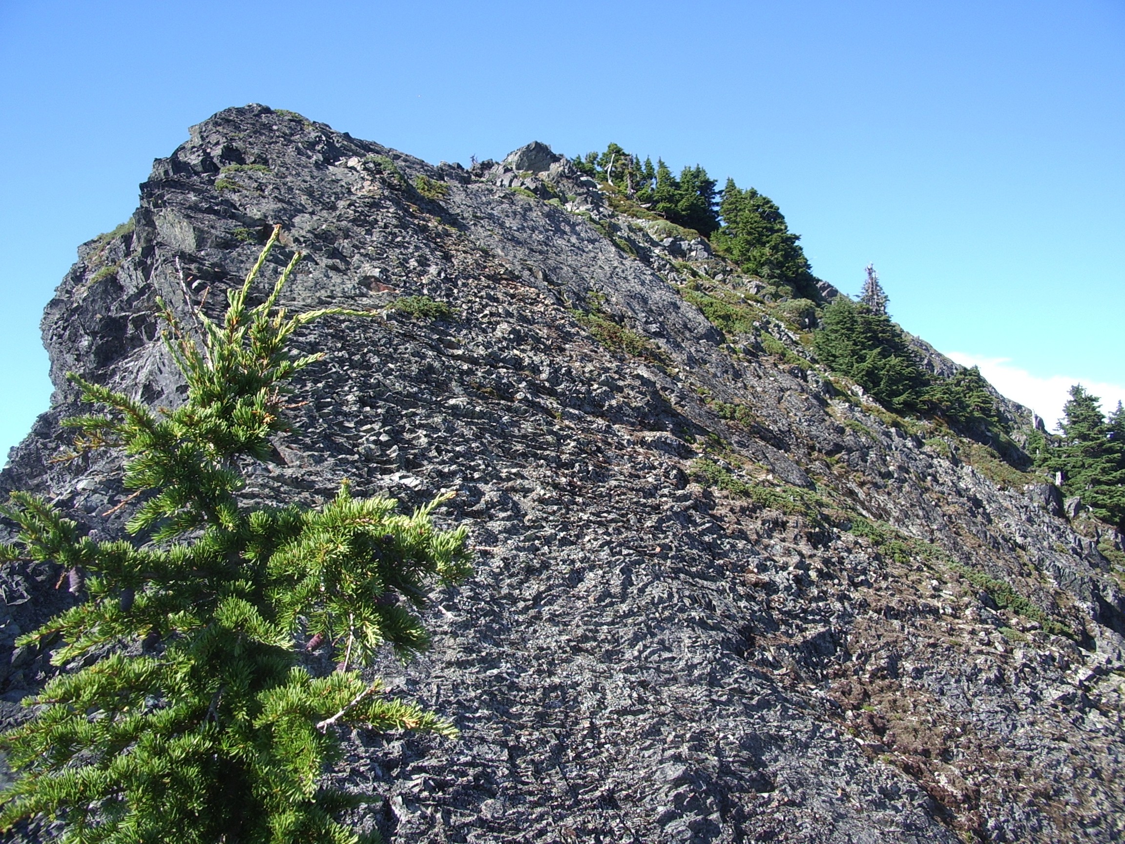 looking up to McClellan Butte