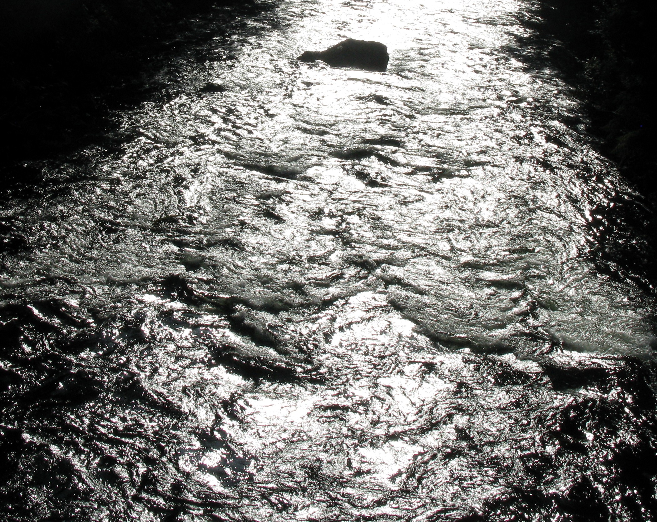 looking west at river from Snoqualmie River Trail
