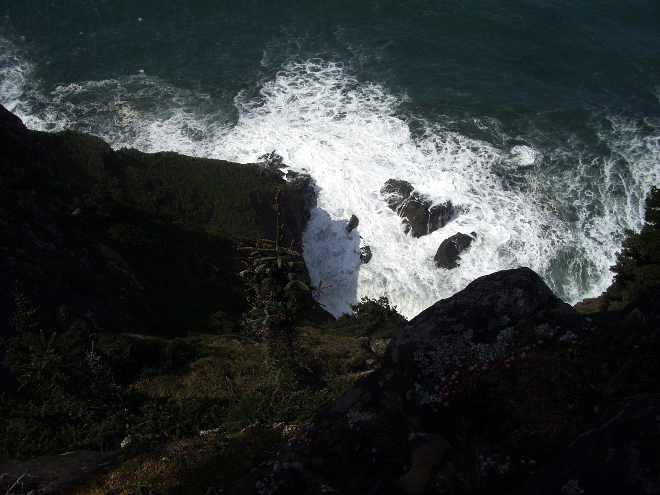 my favorite Oregon coast trail