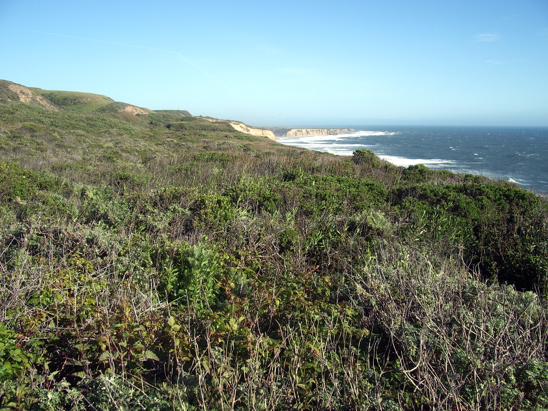 north of Santa Cruz