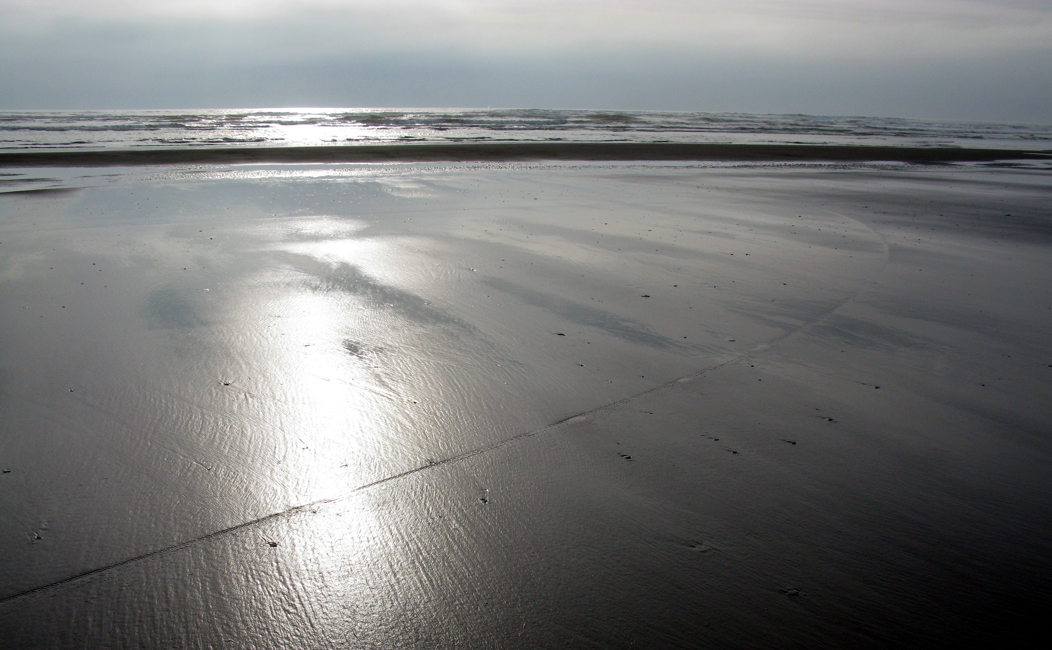 ocean shores beach
