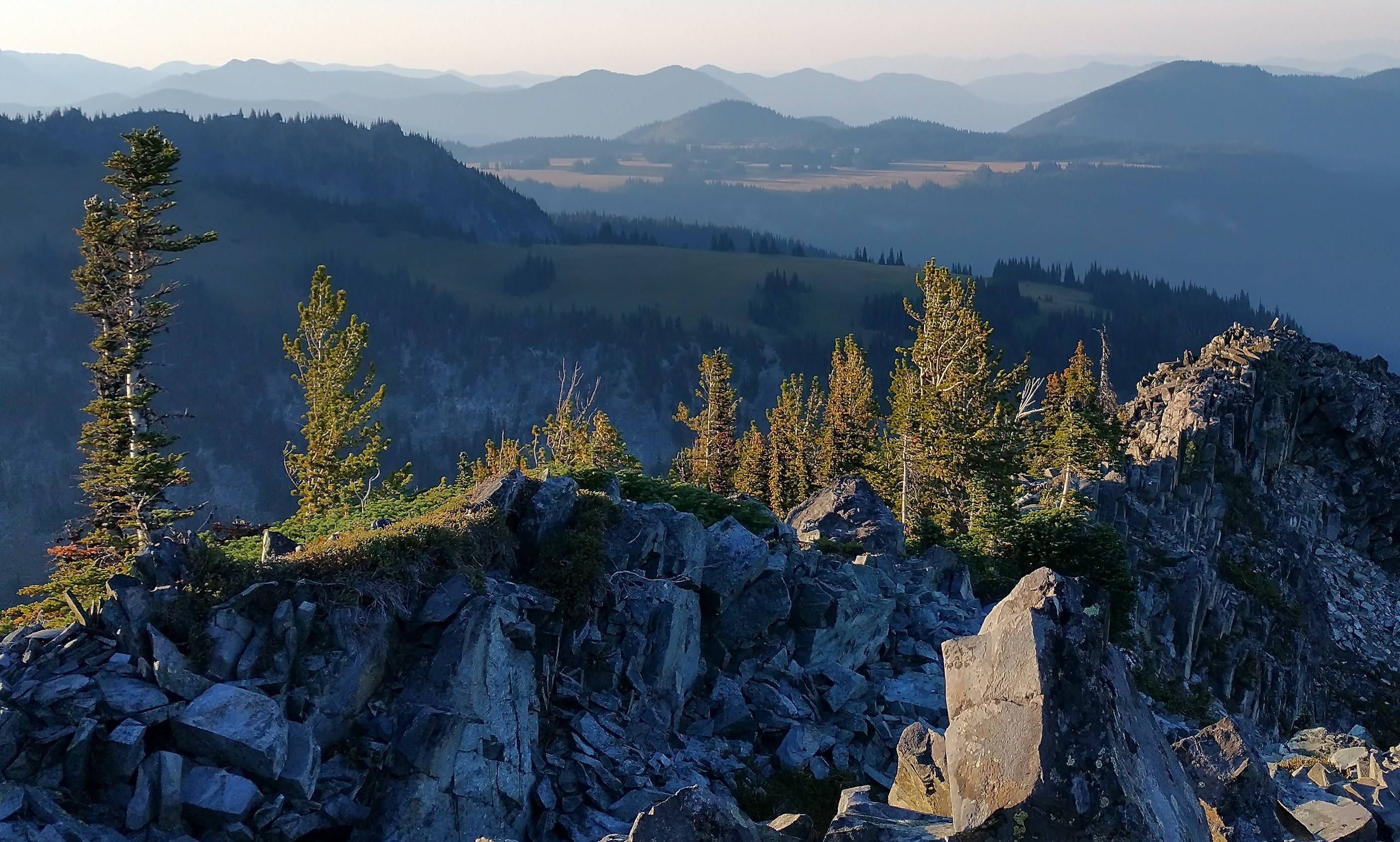 on top of McNeeley Peak