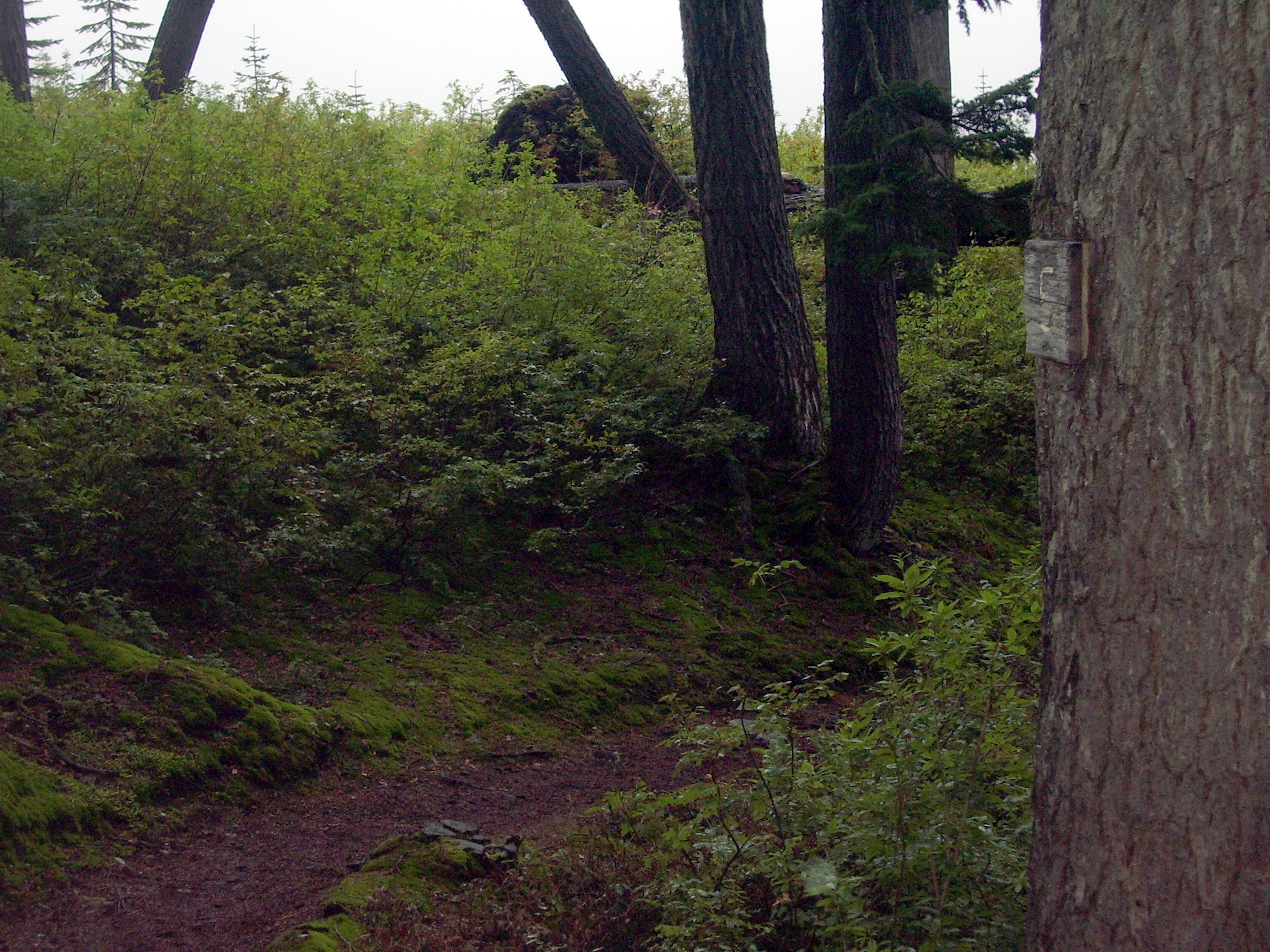 pct 5 mile