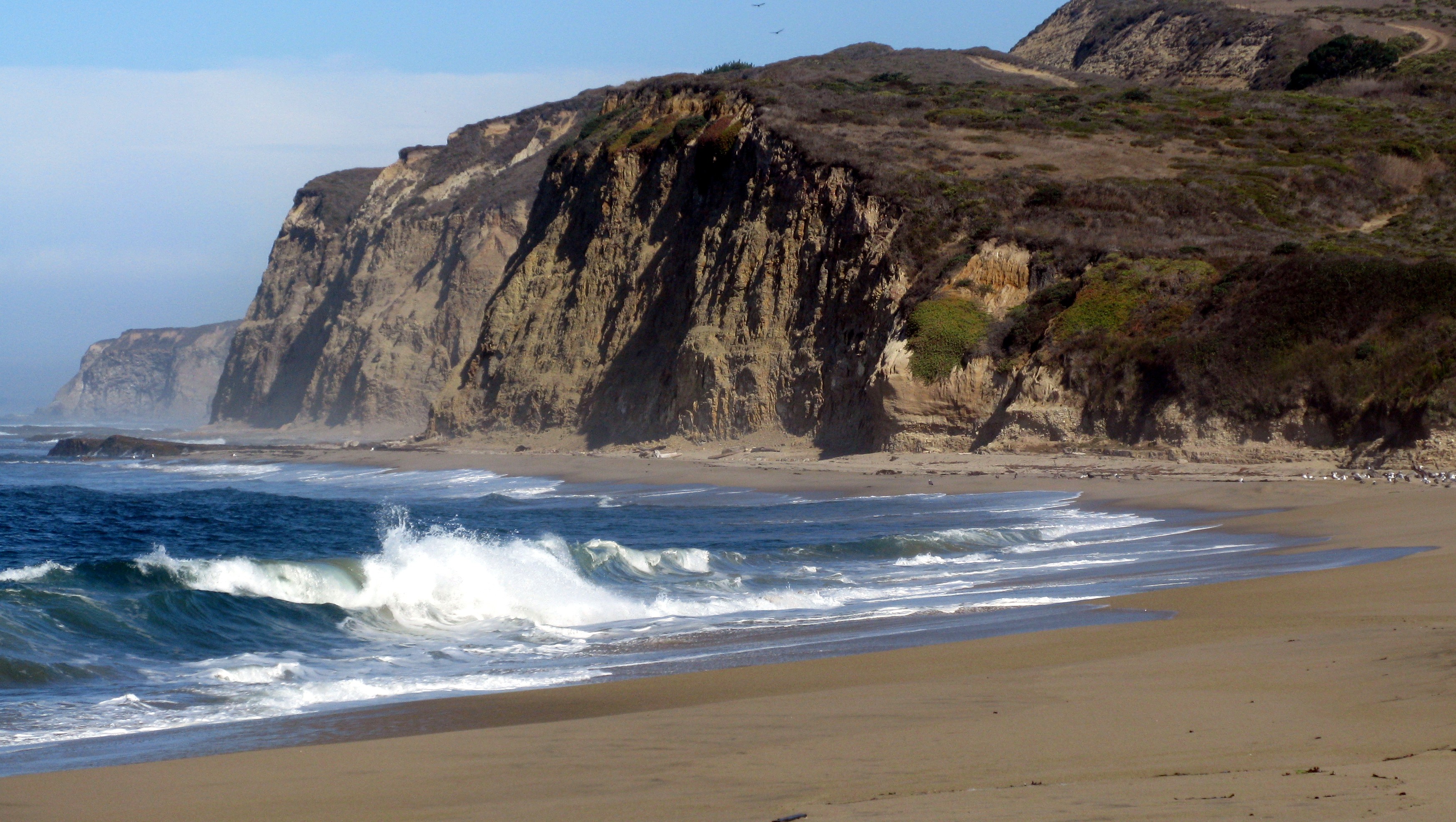 point at scott creek beach