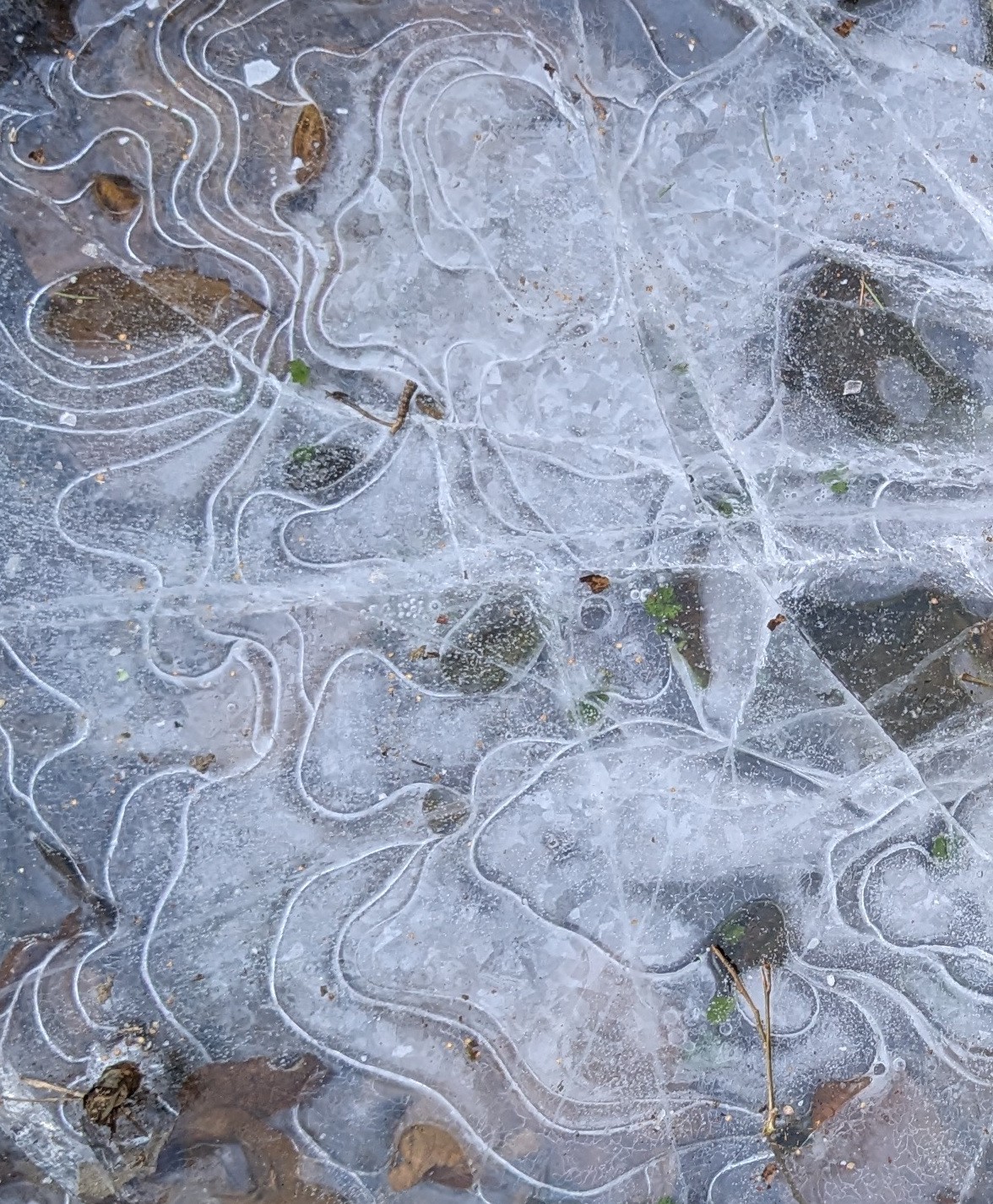 pond ice pattern