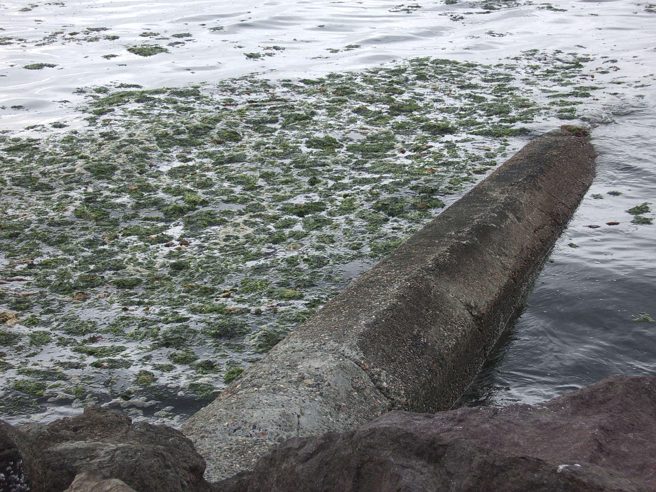port angeles pipe