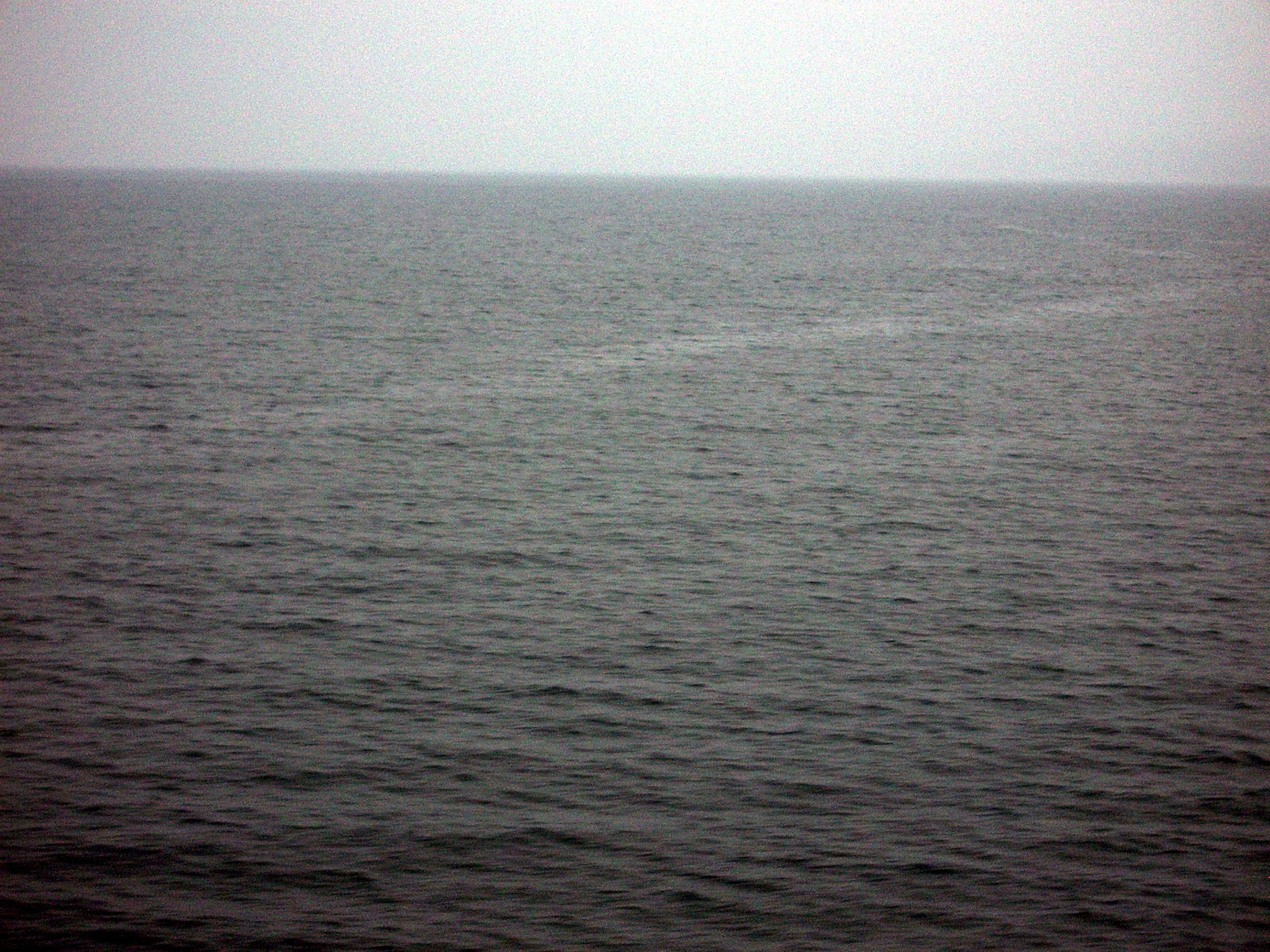 puget sound