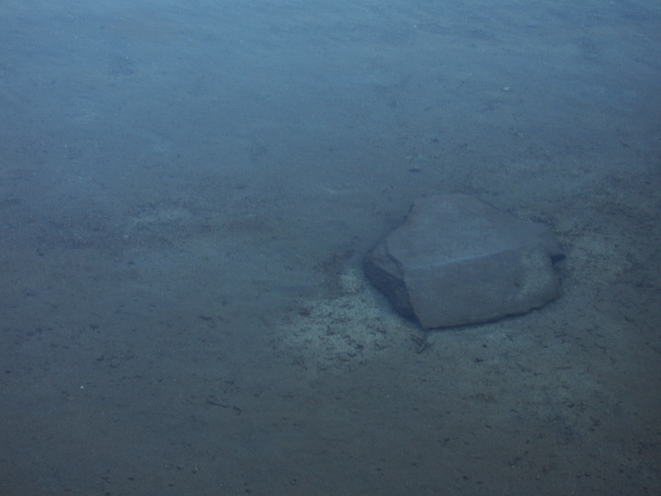 rock under water
