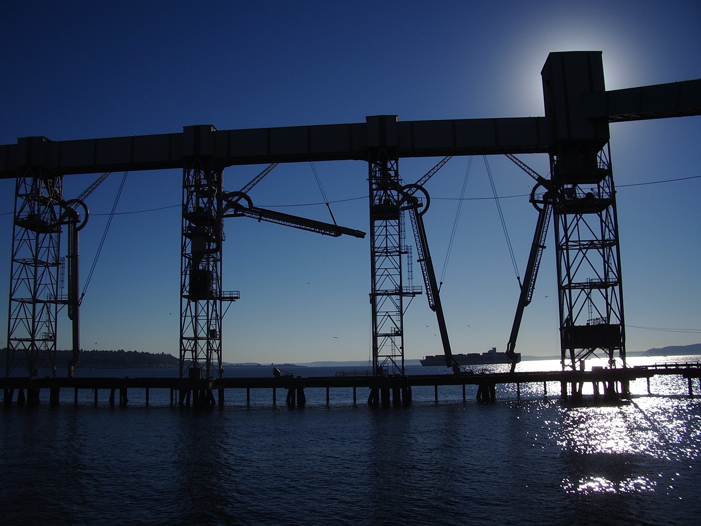 seattle grain pier