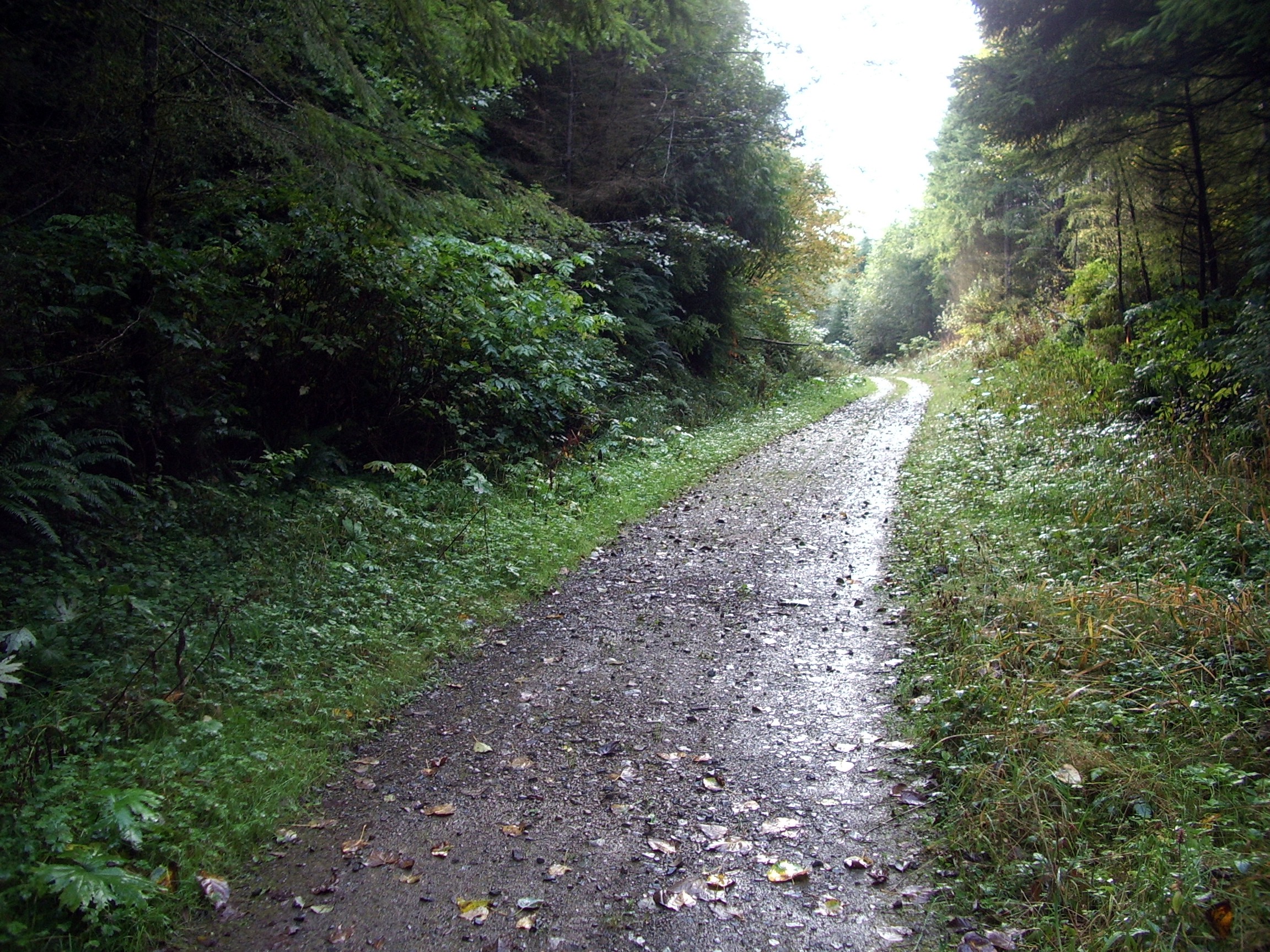 south of 18 Tiger Mt pass