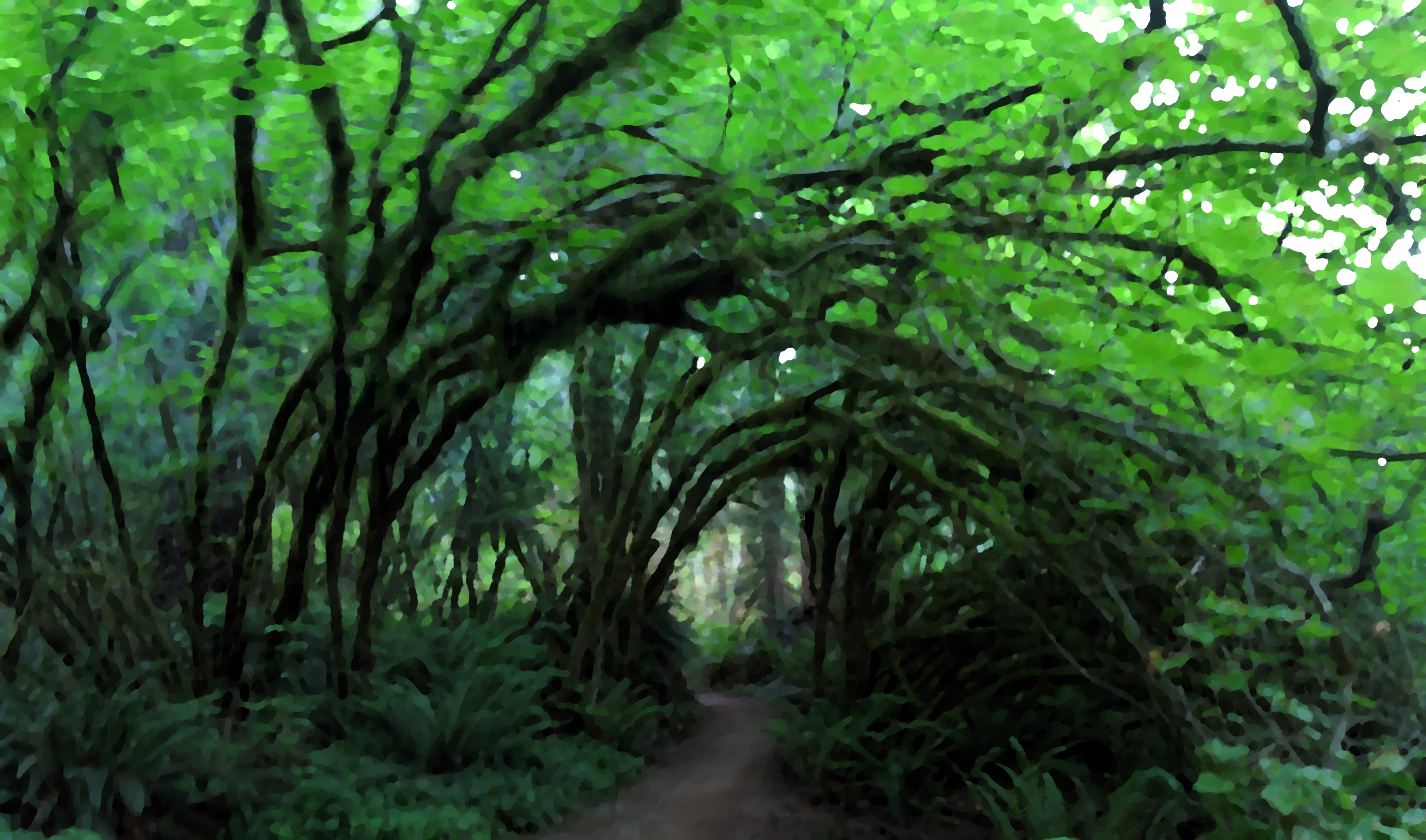 timber trail pano in oil