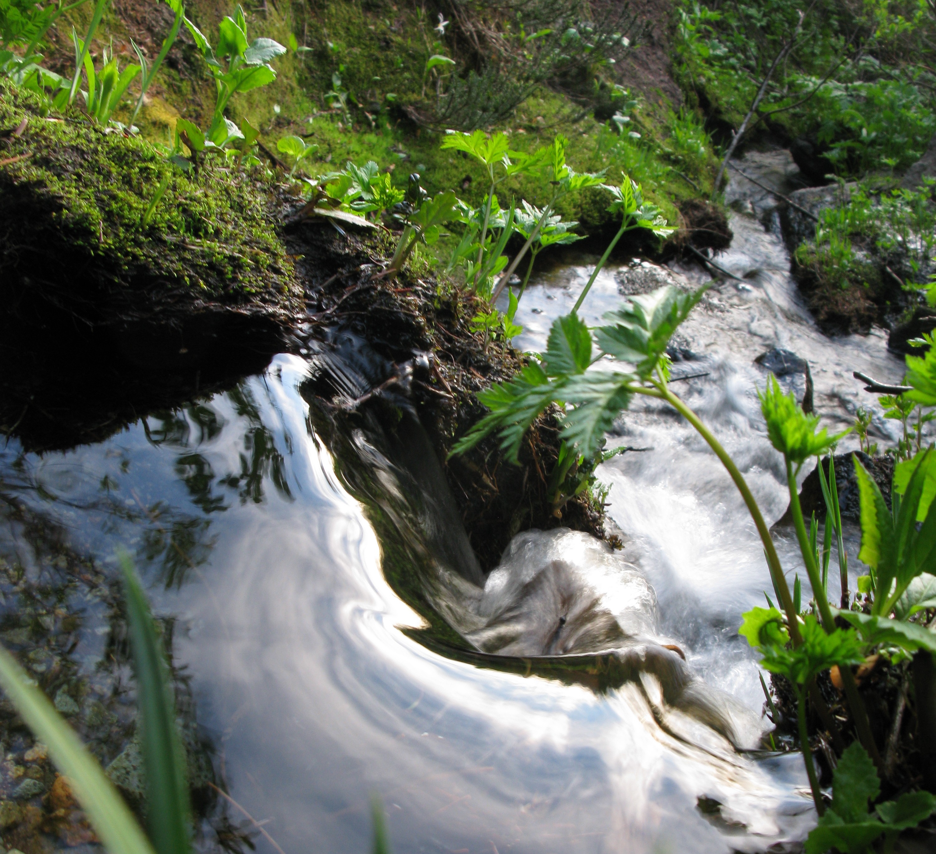 tiny stream near Cayuse and Chinook Passes