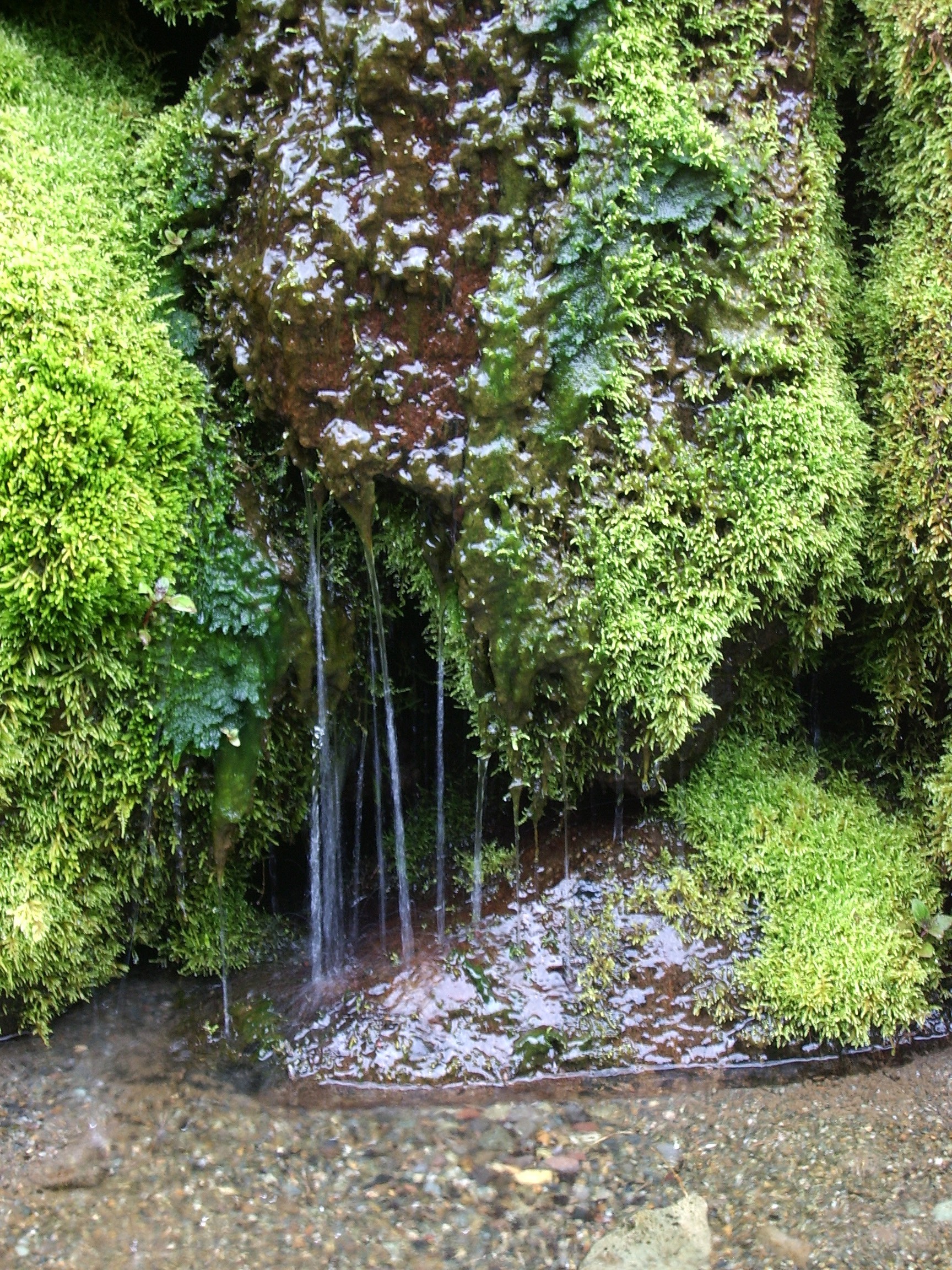 tiny waterfall
