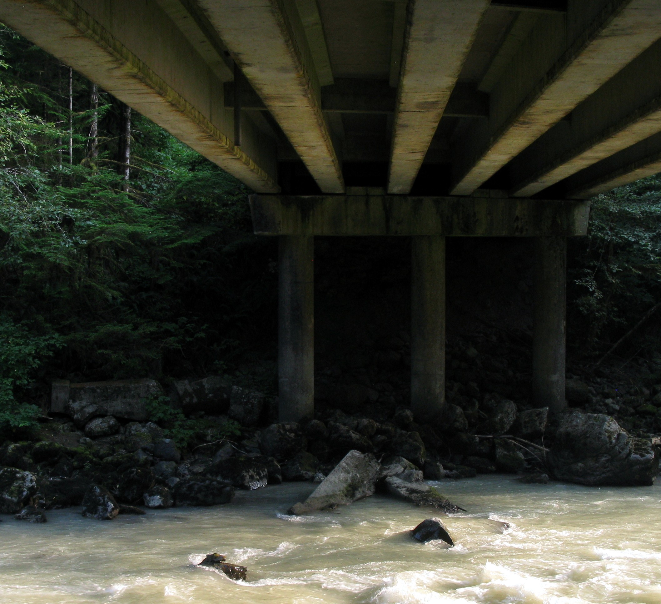 under a North Nooksack River bridge