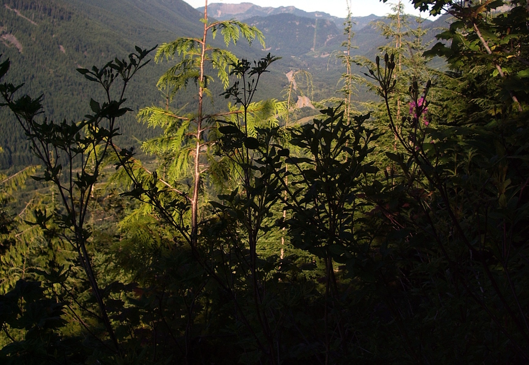 up some hill south of i90