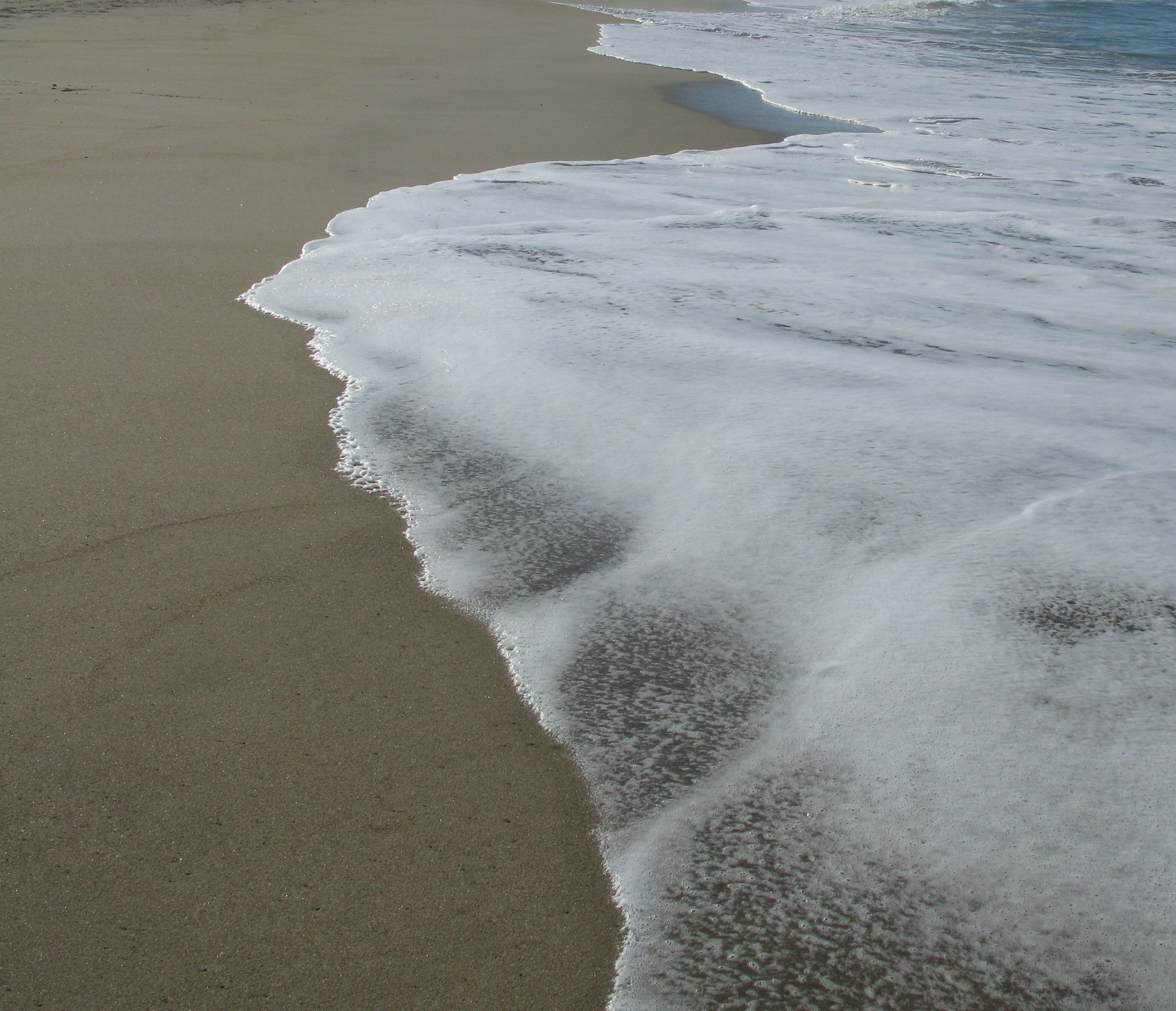 water at scott creek beach
