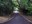 cerro ancon trail