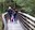 charlie zizi and summer on wallace falls trail