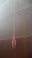 electric noose on water tank