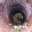 flash in a pipe