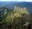from Noble Knob