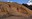 giant fossil snake head