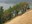 gorge trees on hillside