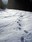 hike in snow